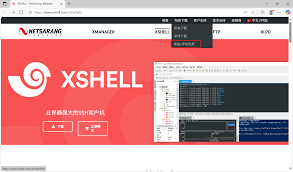 Xshell下载后远程服务器连接不稳定怎么办？优化技巧
